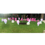 It's A Girl, Pink Lawn Letters, Pink Rattles and Baby Butts