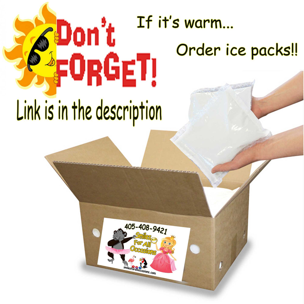 Ice Packs For Shipping in Warm Weather