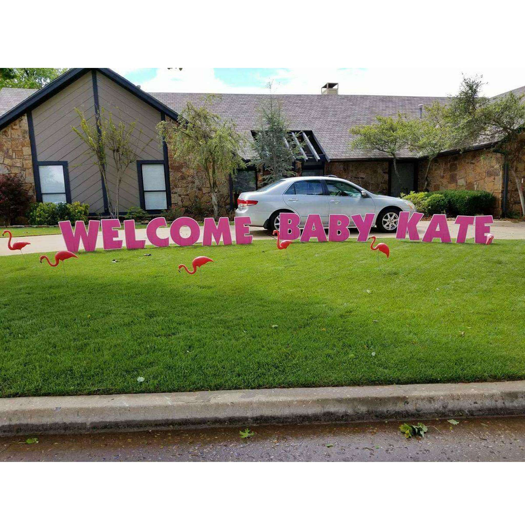 Yard Letters, Pink Welcome Home Baby with Flamingos