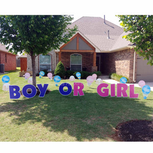 Baby Gender Yard Signs, Blue and Pink Yard Signs with Rattles