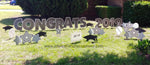 Graduation Lawn Letters Stars and Grad Hats