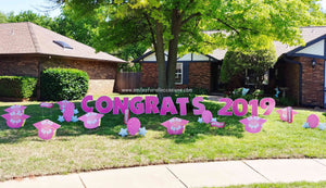 Pink Graduation Grad hats and Lawn Letters