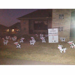 Cows Yard Sign
